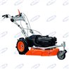 Rotofalce Sp62Bs B&S - Ama