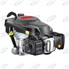 Four Stroke Motor Mod. Mvgtx For Lawnmowers 196 Cc Stage 5