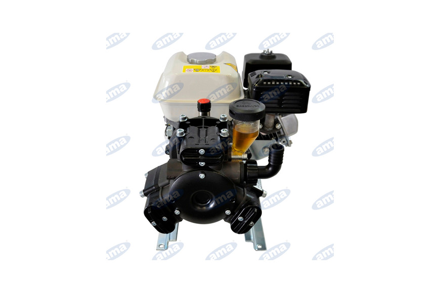 Gruppo Motopompa Aps41 Motore A Scoppio