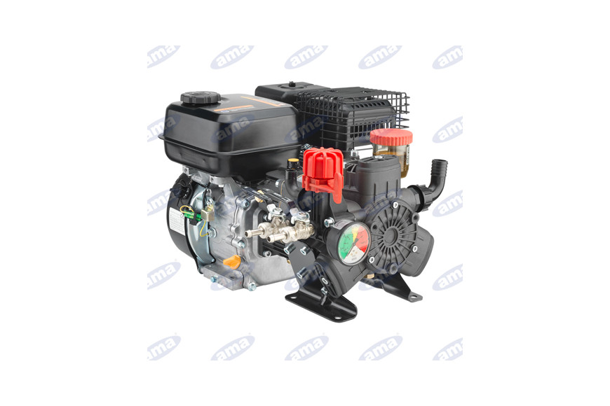 Une membrane de la pompe à moteur Ar403 7 CV 4 temps moteur avec