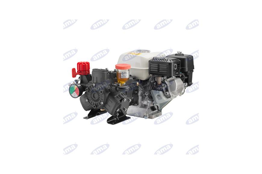 Motopompa A 3 Membrane Ar403 4,8 Hp Con Motore 4 Tempi