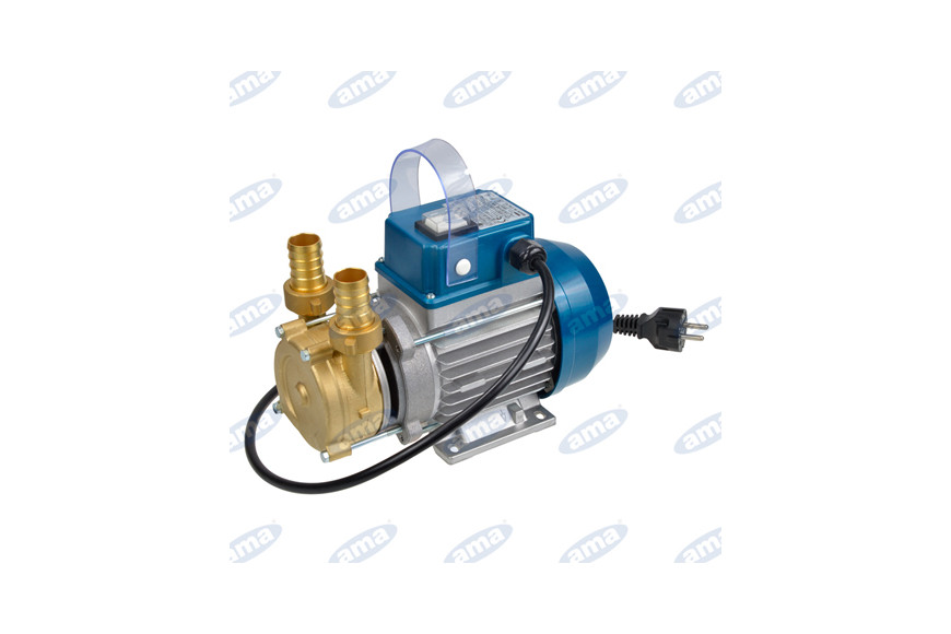 Eletropompa amorçage autoamorçage et réversible Pour Racking, 0,5Hp