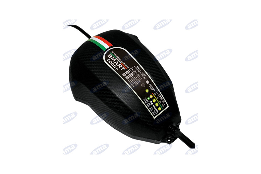 Chargeur et mainteneur 12V 160Ah