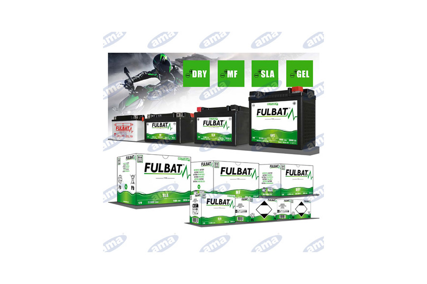Batterie Ftx4L-hôtes 3 / 288Ah - +