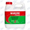 Benzina Alchilata 4T - 2 Litri - Ama