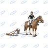 Cavallerizza A Cavallo - Ama