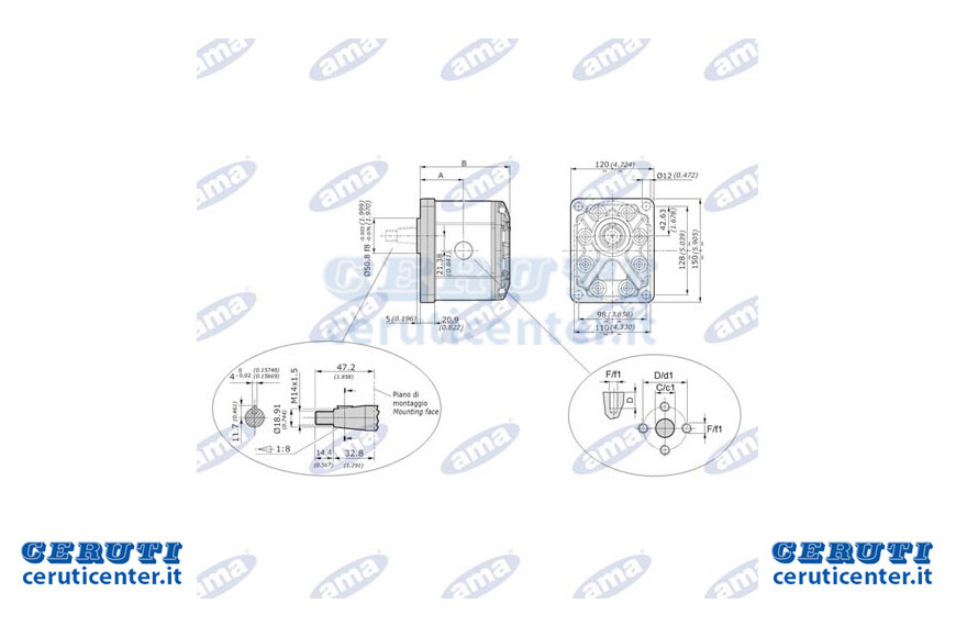 Pompe GR.3 30.20 CC DX