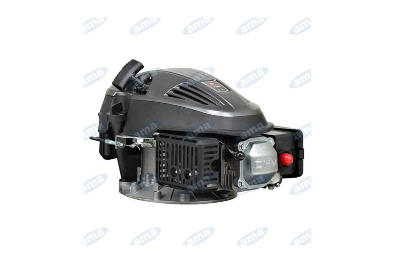 Viertakt Motor Mod. Y80V Für Lawnmowers 80 Cc. Stufe V