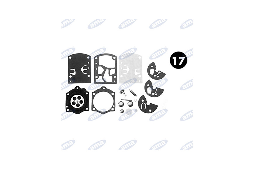 Kit de réparation Walbro K10-Wb