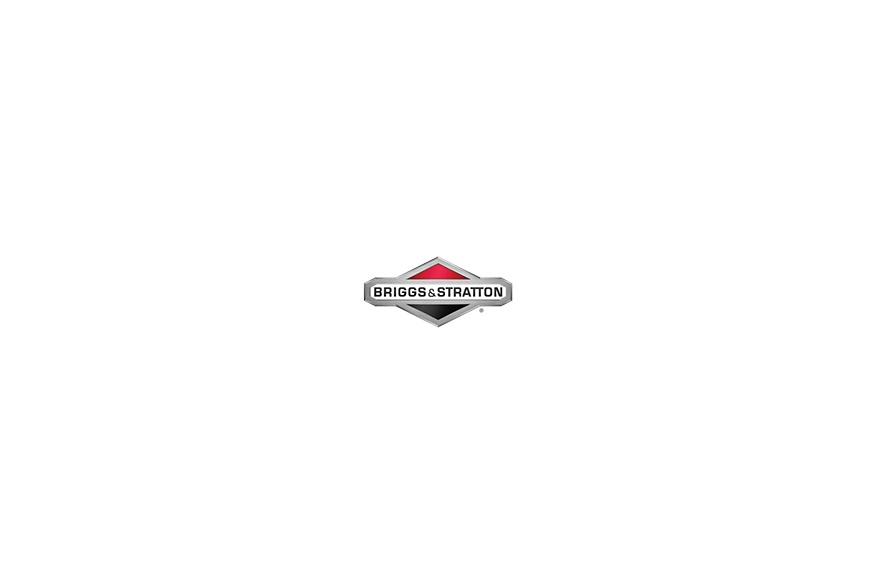 Gasket, Float Bowl - 84006032 - Originale Briggs & Stratton