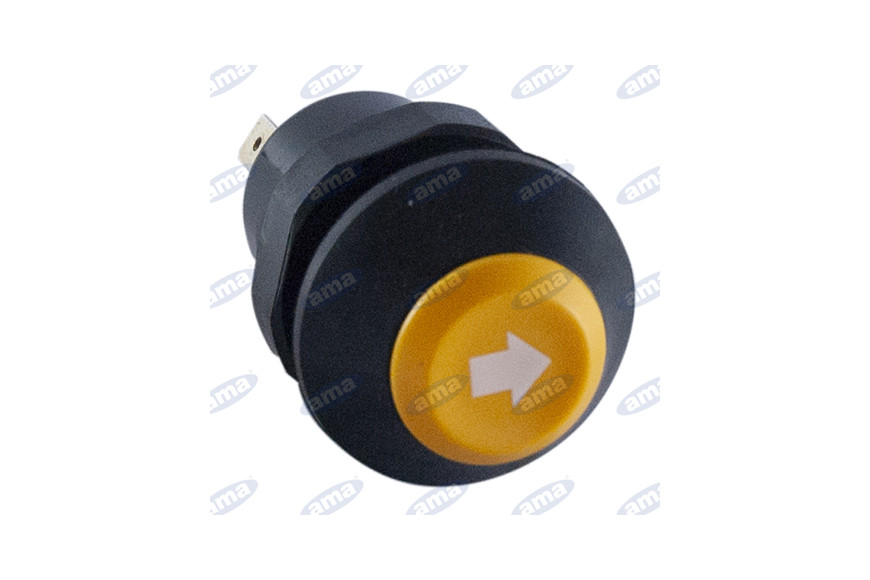 Pulsante Pneutron 12/24V Freccia - Ama