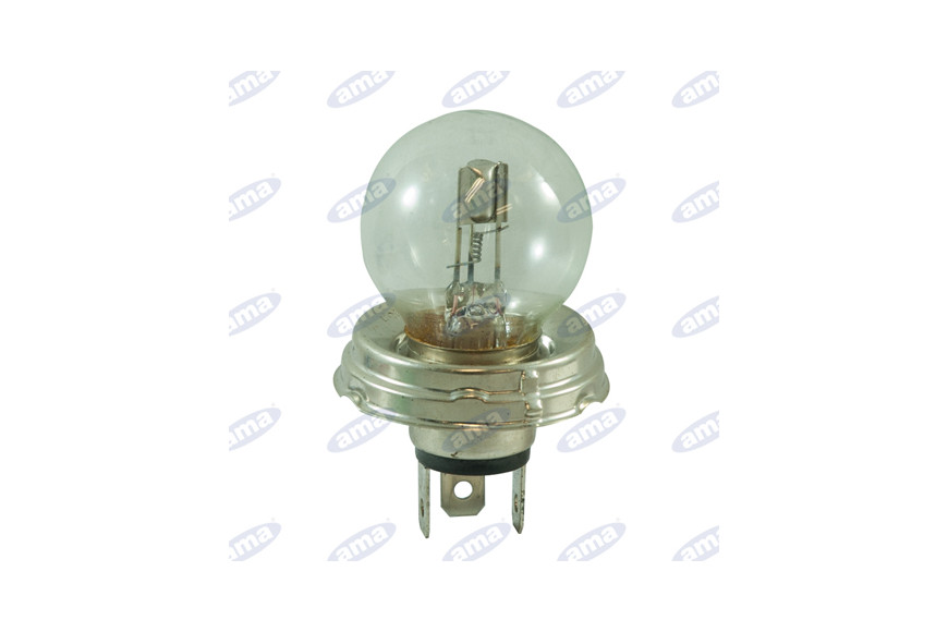 R2 de 24V 55W P45T