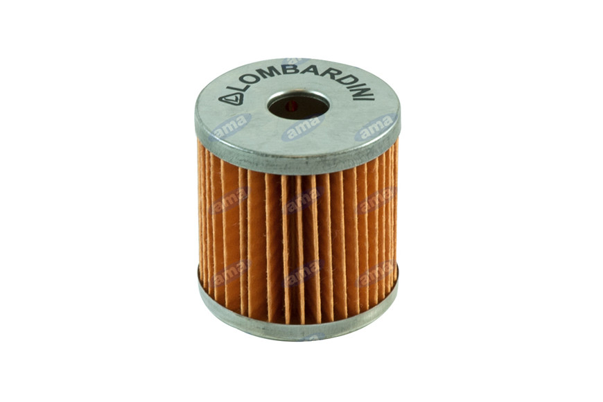 Filtro Lombardini Rif. 2175.009