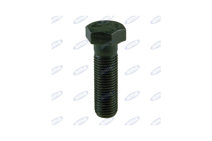 Vite Fiss.Lama Rasaerb.50,8 Mm - Ama