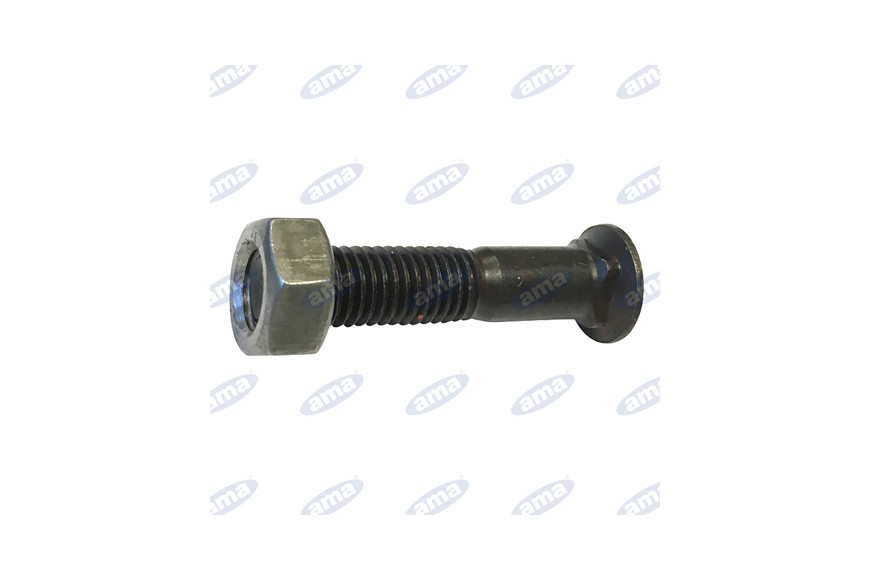 Bolt Tspqst M. 12x60 Dx