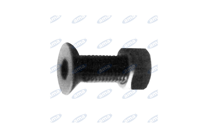 TSPEI 16x40 Bolt