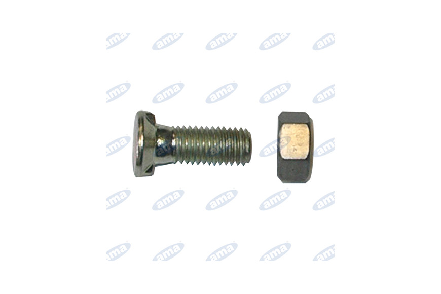 Bolt 10X30 With Hake Head Small