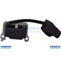 Encendido - Original Emak - 2501006AR