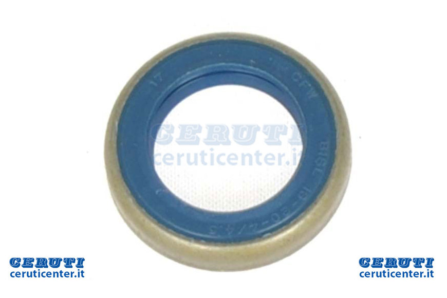 Seal Ring - Original Emak - 094500004R