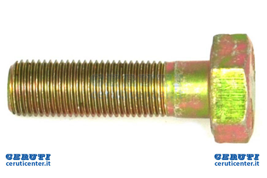 Tornillo - Original Emak - SGN309599012
