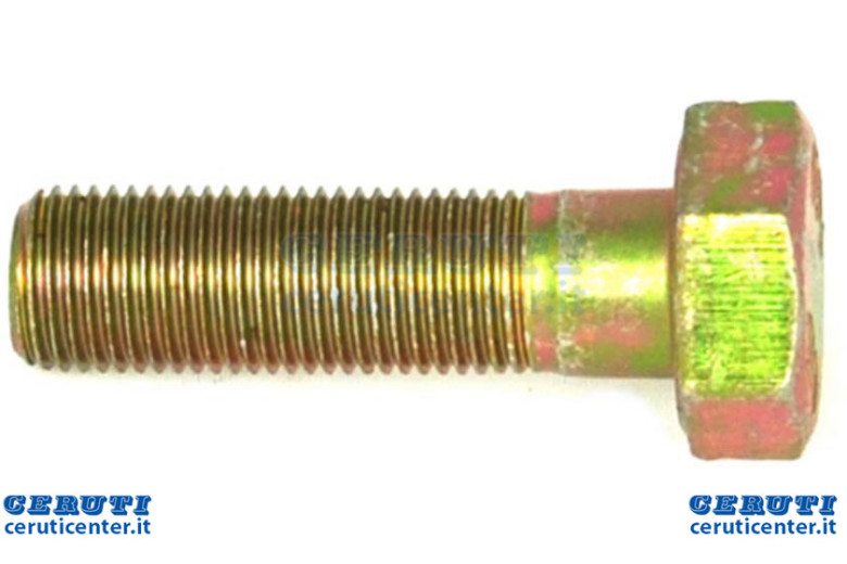Tornillo - Original Emak - SGN309599012