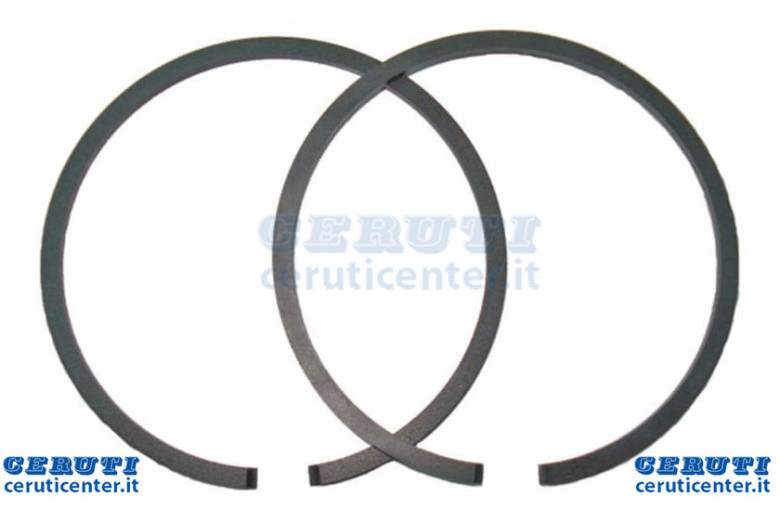 Segment - 50030006R