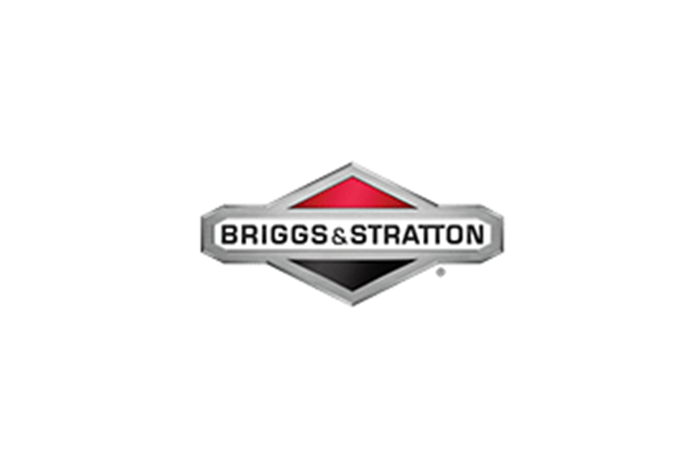 Grid           - 7044355YP - Originale Briggs & Statton