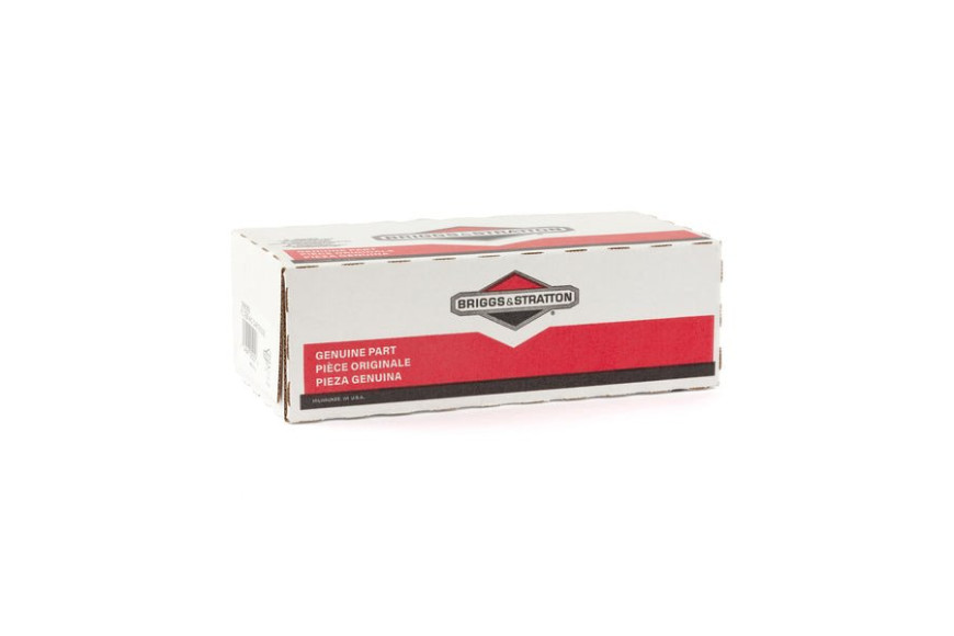 Filtro A.Ex491519(4138 Pz 4) - 399806S - 399806S - Originale Briggs & Stratton