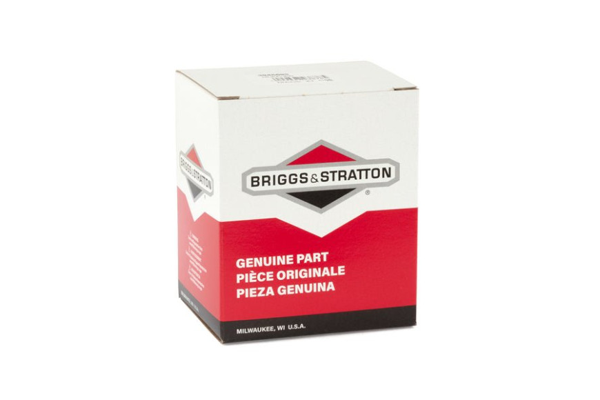 Marmitta Ex 391435 - 394569S - Originale Briggs & Stratton