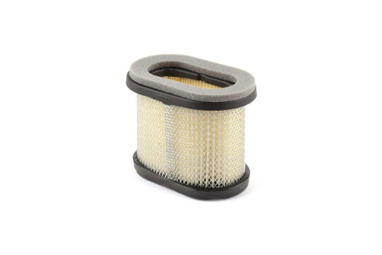Filtro Aria Intek (4207 X 4) - 697029 - Originale Briggs & Stratton