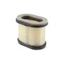 Filtro Aria Intek (4207 X 4) - 697029 - Originale Briggs & Stratton
