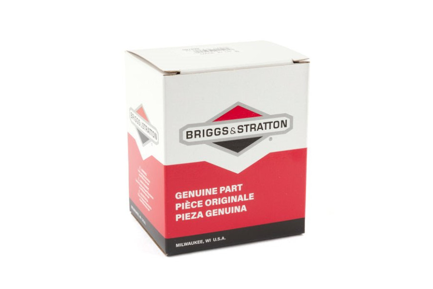 Filtro Aria Intek (4207 X 4) - 697029 - Originale Briggs & Stratton