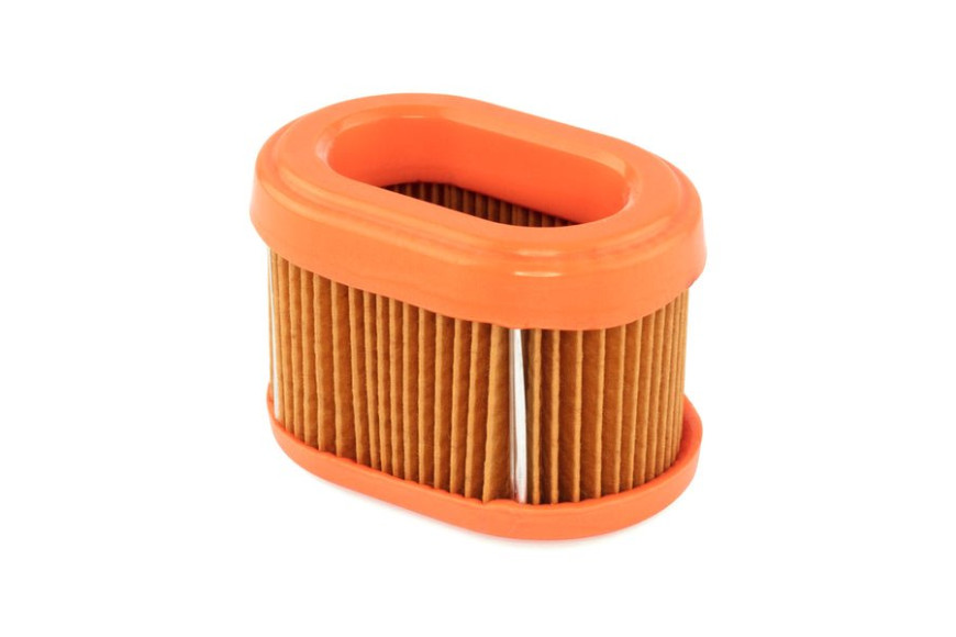Filtro Aria - 790166 - Originale Briggs & Stratton