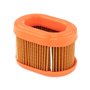 Filtro Aria - 790166 - Originale Briggs & Stratton