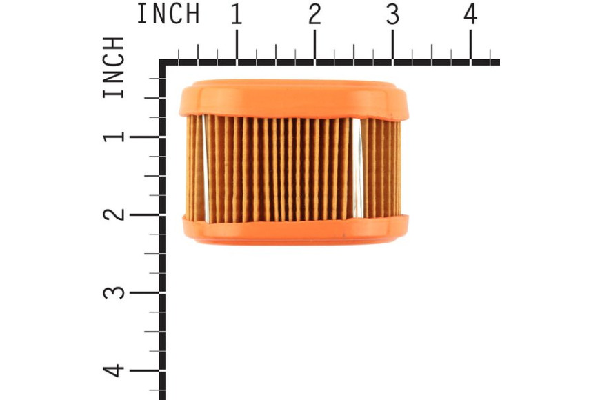 Filtro Aria - 790166 - Originale Briggs & Stratton