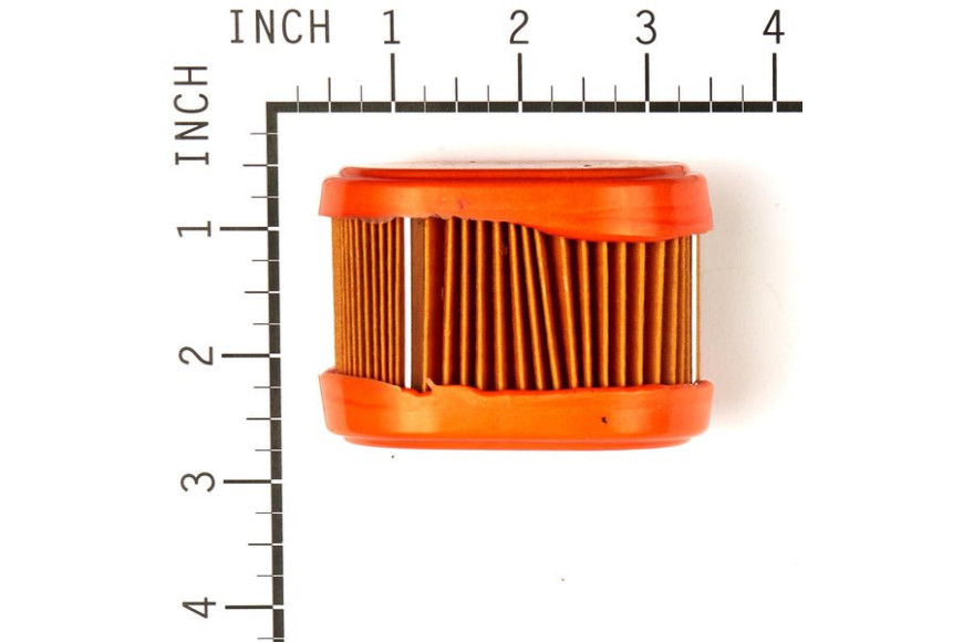 Filtro Aria - 790166 - Originale Briggs & Stratton