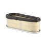 Filtro Aria (4166 X 5) - 691667 - Originale Briggs & Stratton