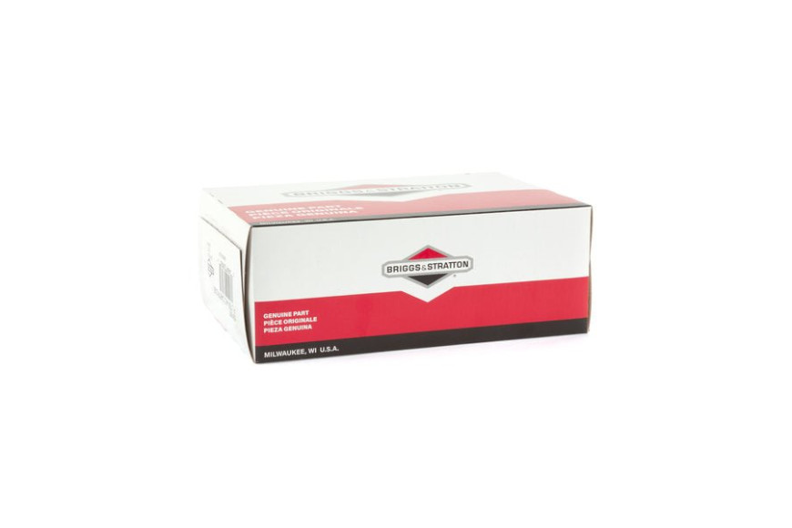 Filtro Aria (4166 X 5) - 691667 - Originale Briggs & Stratton