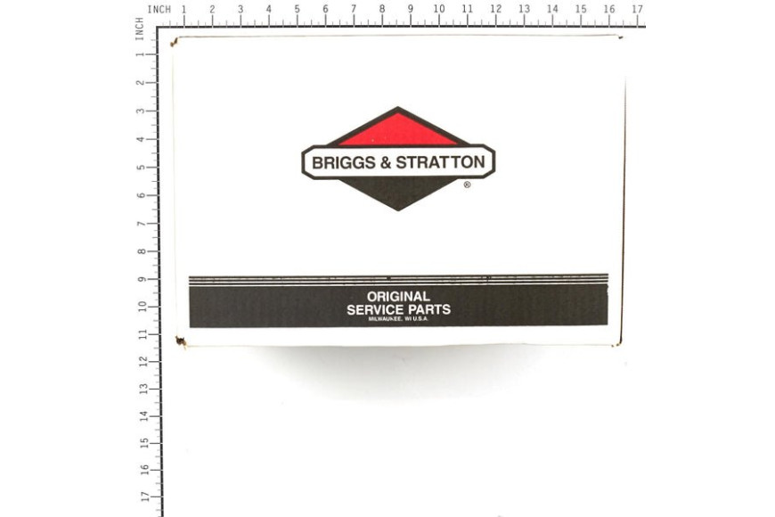 Pump - 311553GS - Originale Briggs & Stratton