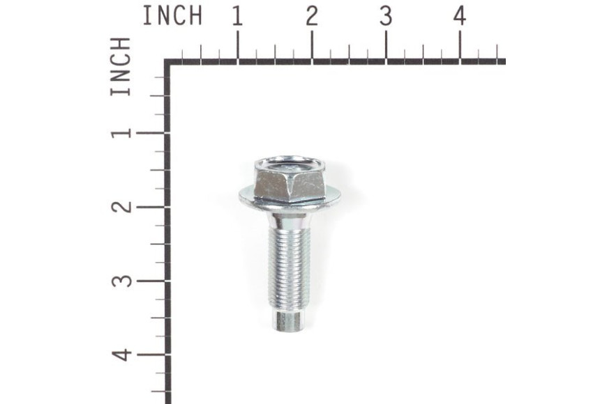 Screw - 698139 -  Briggs & Stratton - Genuine Spare Parts