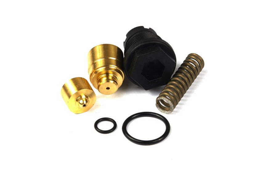 Kit Valvole - 187879GS - Originale Briggs & Stratton