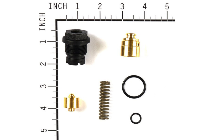 Kit Valvole - 187879GS - Originale Briggs & Stratton