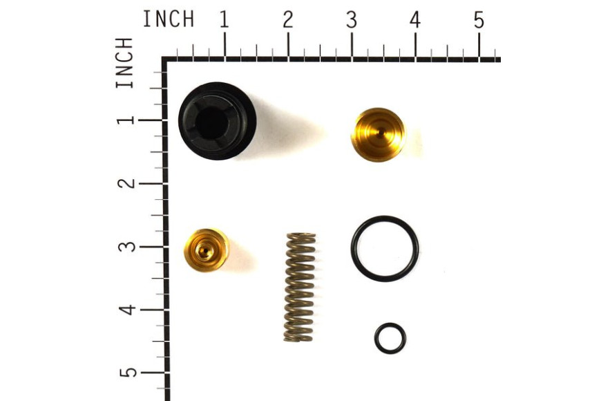 Kit Valvole - 187879GS - Originale Briggs & Stratton