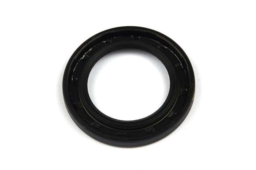 Paraolio Ex 555529 Pto 13H Vanguard 6Hp Orizzontale 120000 Intek Orizzontale - 692550 - Originale Briggs & Stratton