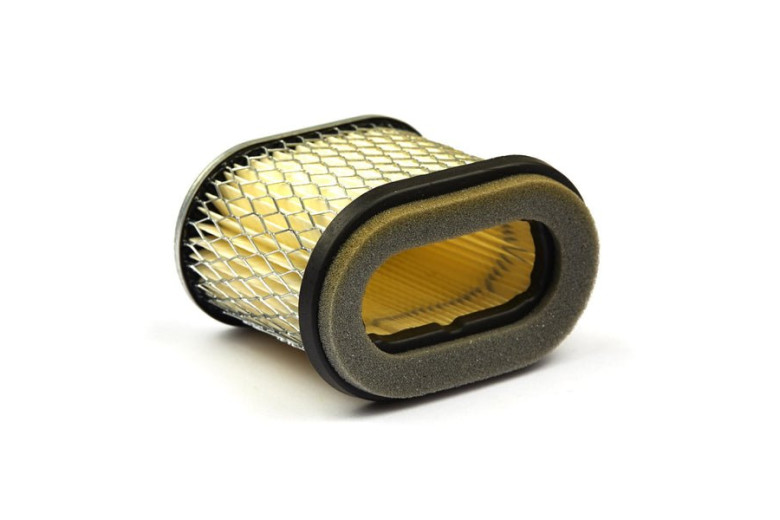 Filtro Aria (4224 X 4) - 692446 - Originale Briggs & Stratton