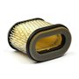 Filtro Aria (4224 X 4) - 692446 - Originale Briggs & Stratton