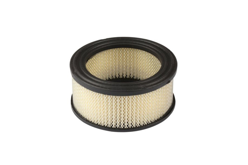 Cartuccia Filtro Aria - 392286 - 392286 - Originale Briggs & Stratton