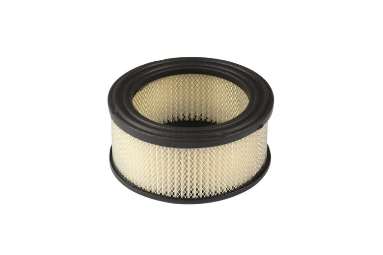 Cartuccia Filtro Aria - 392286 - 392286 - Originale Briggs & Stratton