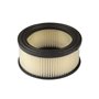 Cartuccia Filtro Aria - 392286 - 392286 - Originale Briggs & Stratton