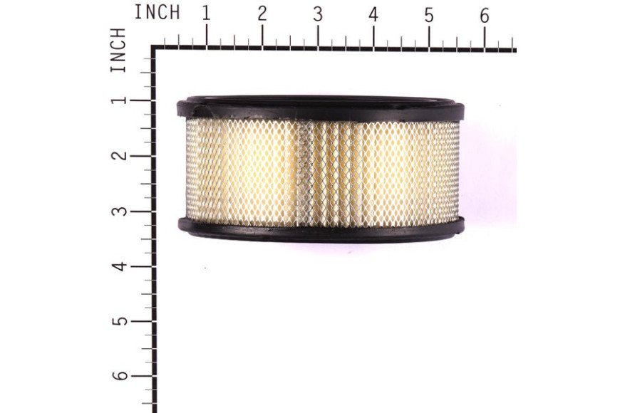 Cartuccia Filtro Aria - 392286 - 392286 - Originale Briggs & Stratton